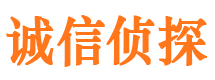 大安区市私家调查